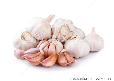 Fresh garlic isolated on white background 22944255