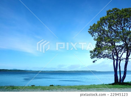 Lake Kuccialo (Hamatonbetsu-cho) 22945123
