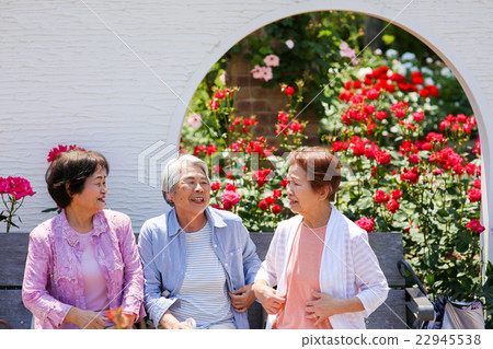 Three elderly people shot in a park full of flowers Three elderly people shot in a park full of flowers 22945538