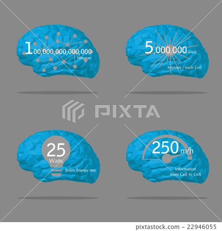 Brain information amazing data statistic 22946055