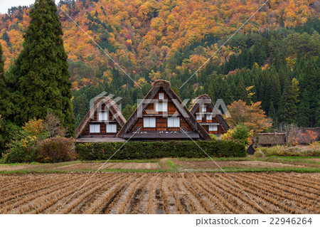 World Heritage Shirakawago Fall 22946264