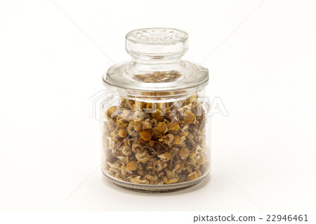 Chamomile German 22946461