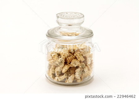 Chamomile Roman 22946462