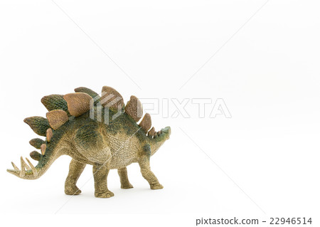Stegosaurus: Stegosaurus 22946514