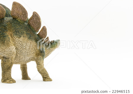 Stegosaurus: Stegosaurus 22946515