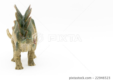 Stegosaurus: Stegosaurus 22946523