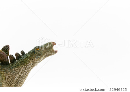 Stegosaurus: Stegosaurus 22946525
