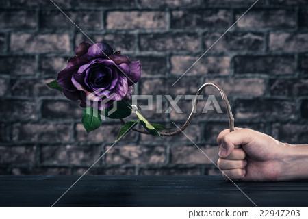 彎曲的花朵 22947203
