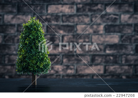 種植樹木 22947208