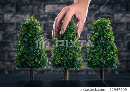 種植樹木 種植樹木 22947209