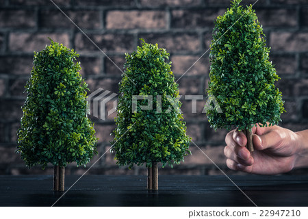 種植樹木 種植樹木 22947210