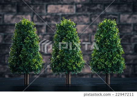 種植樹木 22947211