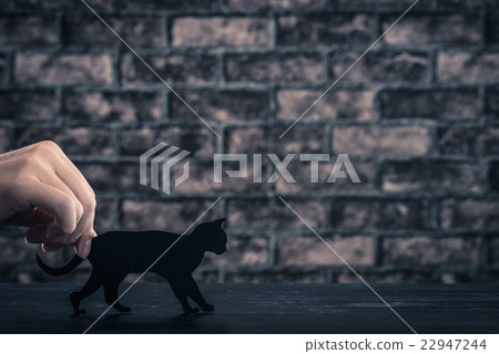 Black cat silhouette 22947244