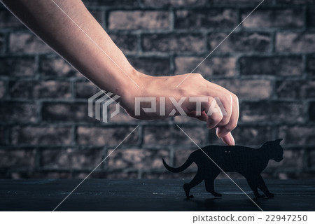 Black cat silhouette 22947250