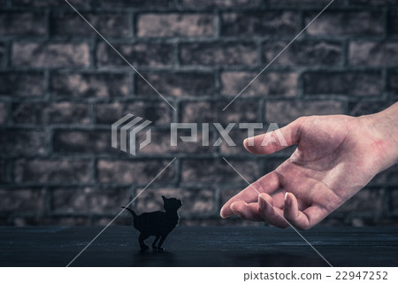 黑貓剪影 22947252