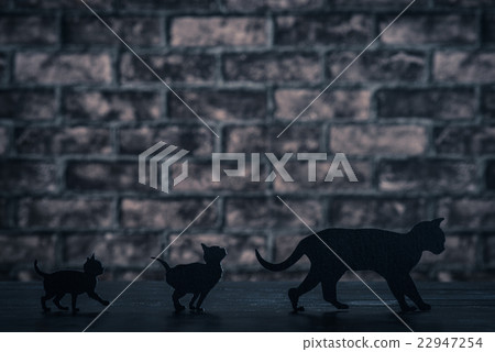 Black cat silhouette 22947254