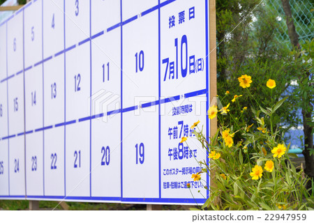 Election Poster Board 22947959