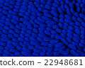 close up foot scraper blue color 22948681