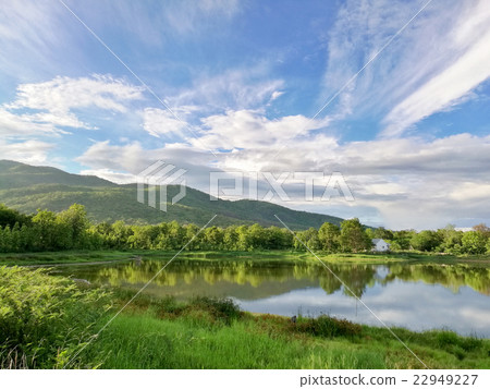 Reflection of natural tree and sky in a lake 22949227