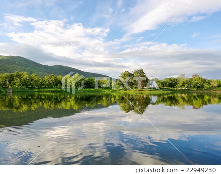 Reflection of natural tree and sky in a lake 22949230