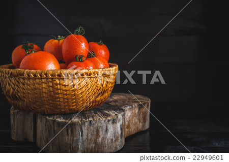 Red Tomatoes on the dark background Red Tomatoes on the dark background 22949601