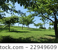 Scenery of a small hill 22949609