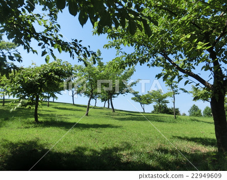 一座小山的風景 一座小山的風景 22949609