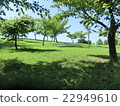 Scenery of a small hill 22949610