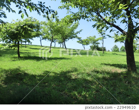 一座小山的風景 一座小山的風景 22949610