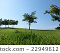 Scenery of a small hill 22949612
