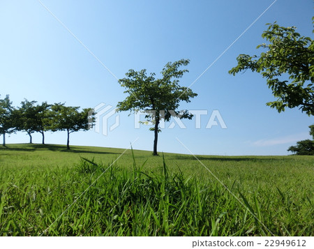 Scenery of a small hill Scenery of a small hill 22949612