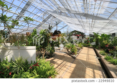 Ornamental greenhouse Ornamental greenhouse 22949810