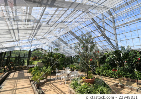 Ornamental greenhouse Ornamental greenhouse 22949811