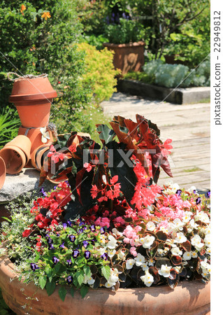 Container Garden Container Garden 22949812