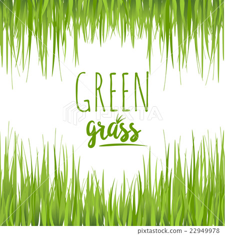 Set realistic green grass lawn Set realistic green grass lawn 22949978