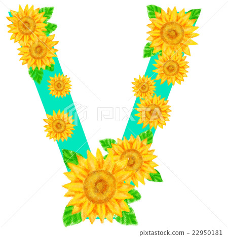 向日葵_字母_V 向日葵_字母_V 22950181