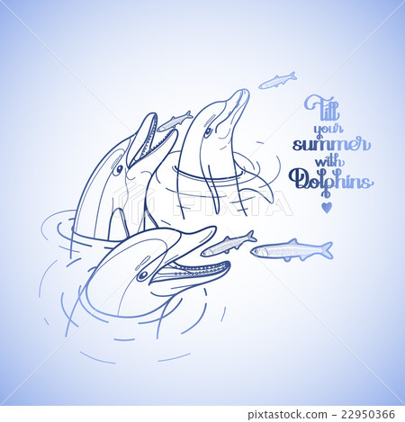 Graphic feeding dolphins 22950366