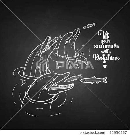 Graphic feeding dolphins Graphic feeding dolphins 22950367