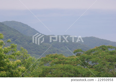 初夏的山 初夏的山 22950958