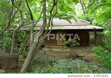 川口市綠色中心 川口市綠色中心 22951645