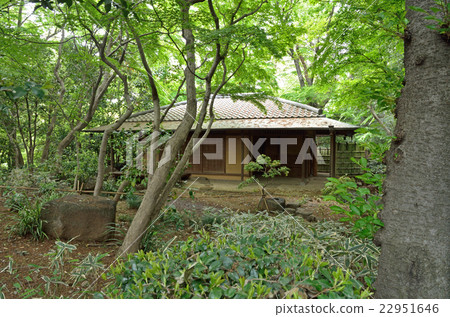 川口市綠色中心 川口市綠色中心 22951646