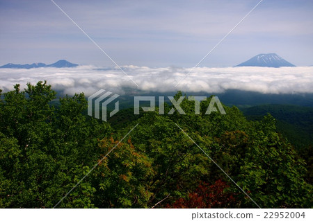 Mt. Yotei and the Niseko mountain range floating in the sea of cloud seen from the early summer Kombutake 22952004