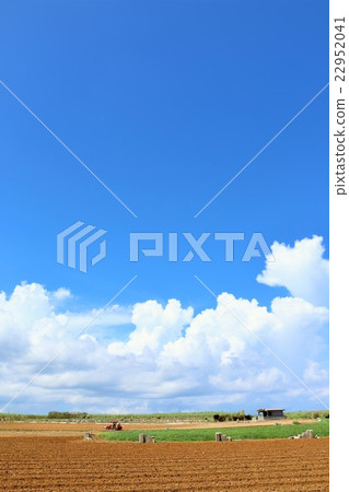 Blue sky and earth of Okinawa Miyakojima 22952041