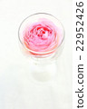 Rose   22952426