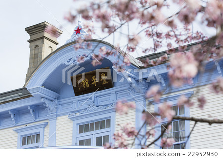 Sakura and Toyohira-kan 22952930