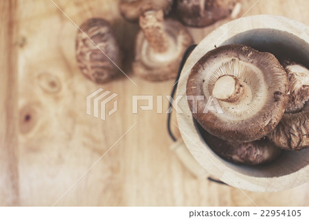 Shiitake mushroom 22954105
