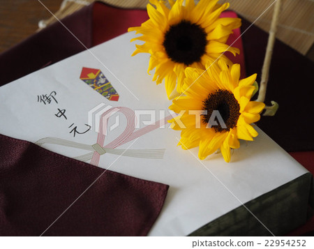 Summer gift  22954252