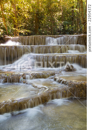 Deep forest stream waterfall Deep forest stream waterfall 22954372