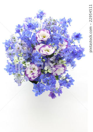 Arrangement of Delphinium and Turkish Gyozo (vertical as a whole) 22954511
