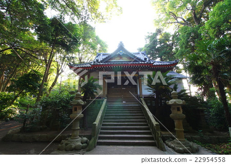 Yaguchi Shrine 22954558